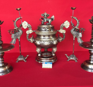 bo-dinh-hoa-soi-ngu-su-dong-vang-cao-cap-cao-50cm