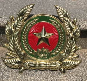huy-hieu-cong-an-bang-dong-duong-kinh-60cm