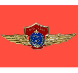 logo-phong-khong-khong-quan-viet-nam
