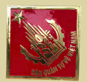 logo-dan-quan-tu-ve-viet-nam