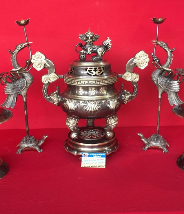 bo-dinh-hoa-soi-ngu-su-dong-vang-cao-cap-cao-50cm