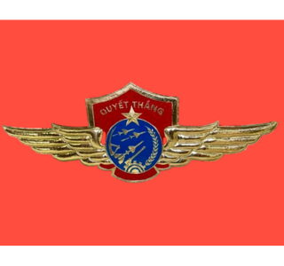 logo-phong-khong-khong-quan-viet-nam