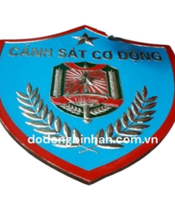 canh-sat-co-dong-viet-nam